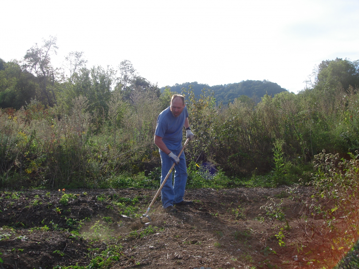 Another SSS Gardening Club member helping at Cullowhee Community Garden