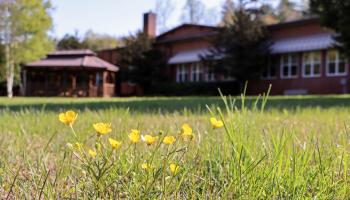 Swain Center hosting open house and craft sale