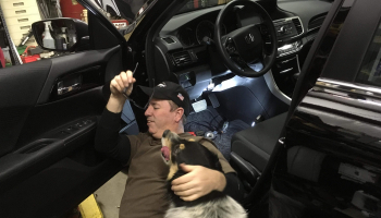 A man works on the inside of a car while his dog affectionately tries to play with him