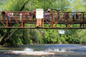 A female student receives her certificate from man in a suit and tie.