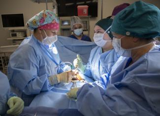 Surgical Technology students work in their lab.