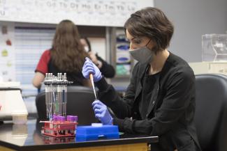 Students analyze specimens